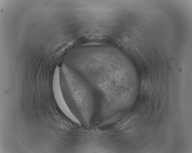 X0000088391250200706121201