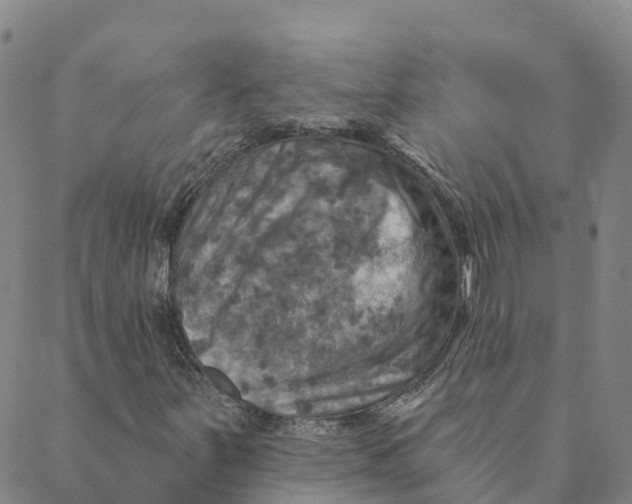 X0000088391251200706121201