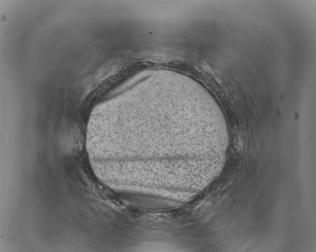 X0000088391253200706121201