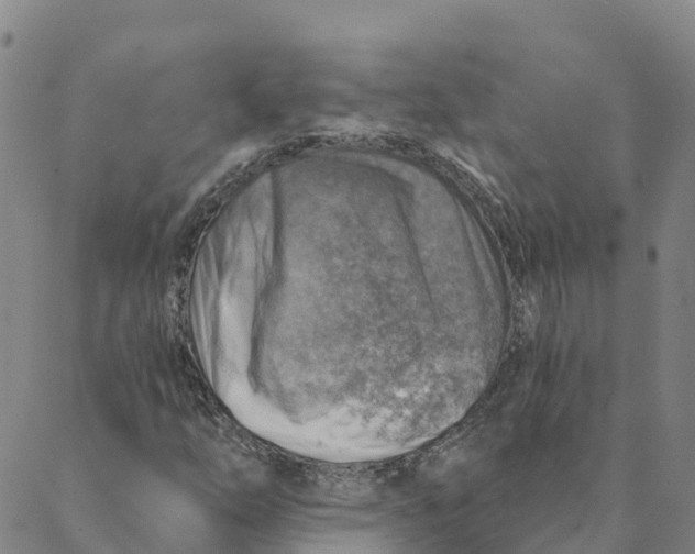 X0000088391254200706121201