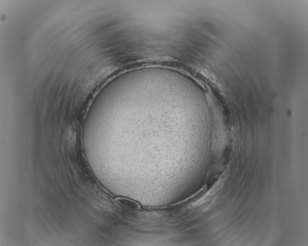 X0000088391257200706121201