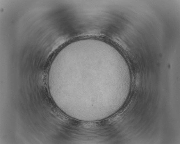 X0000088391258200706121201