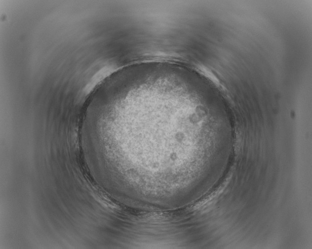 X0000088391259200706121201