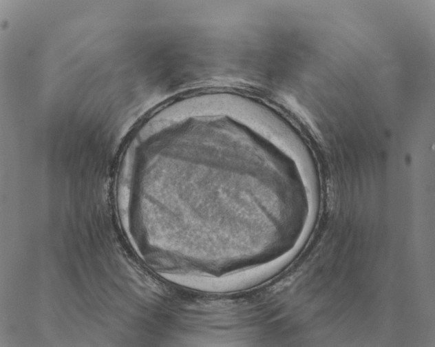 X0000088391260200706121201