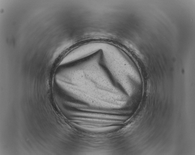 X0000088391261200706121201