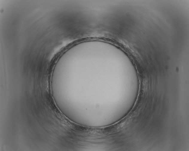 X0000088391262200706121201