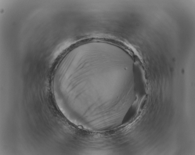 X0000088391263200706121201