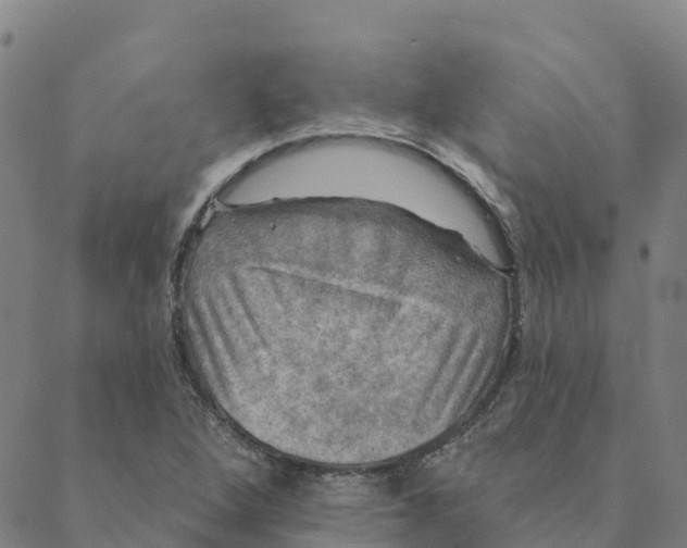 X0000088391264200706121201