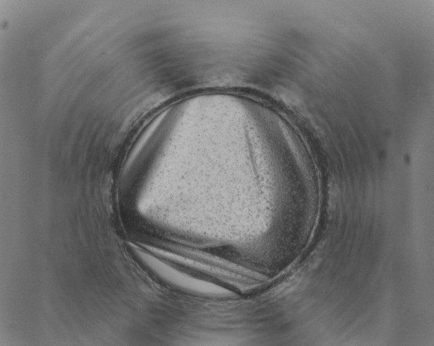 X0000088391265200706121201