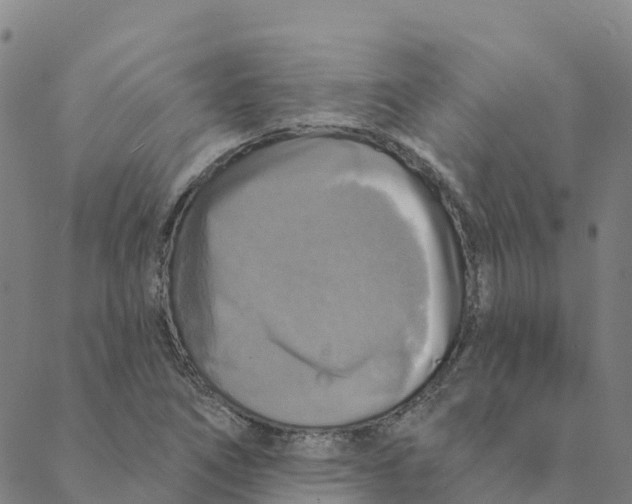 X0000088391266200706121201