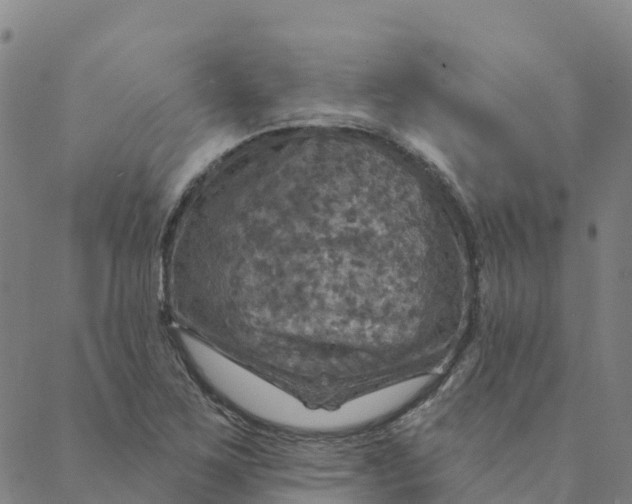 X0000088391267200706121201