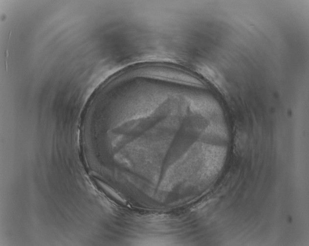 X0000088391268200706121201