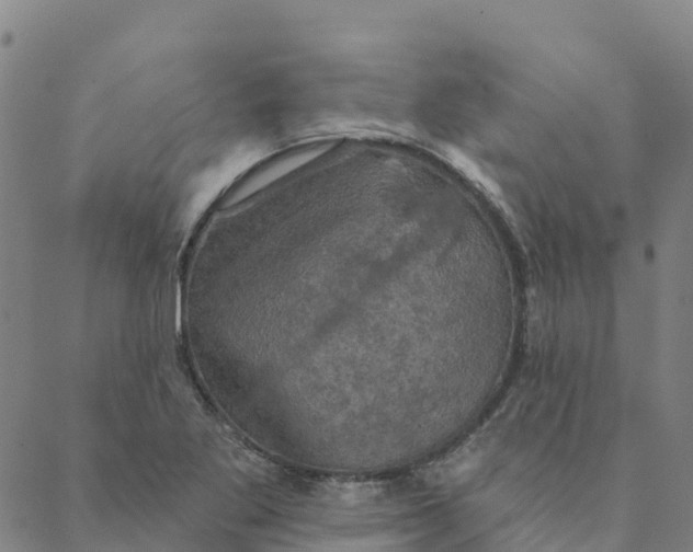 X0000088391269200706121201