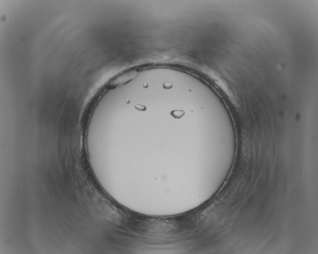 X0000088391270200706121201