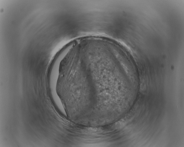 X0000088391271200706121201