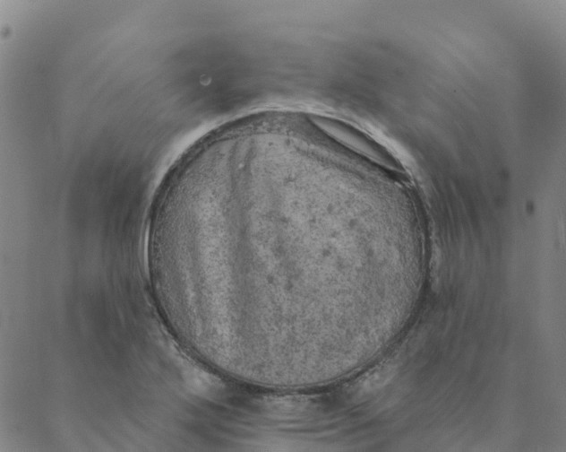 X0000088391272200706121201