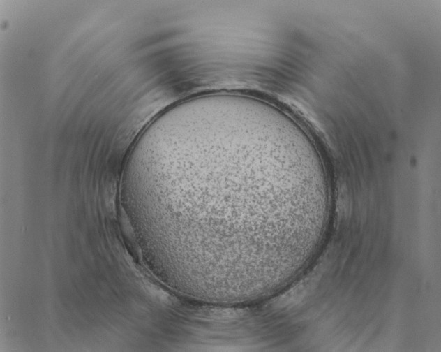 X0000088391273200706121201