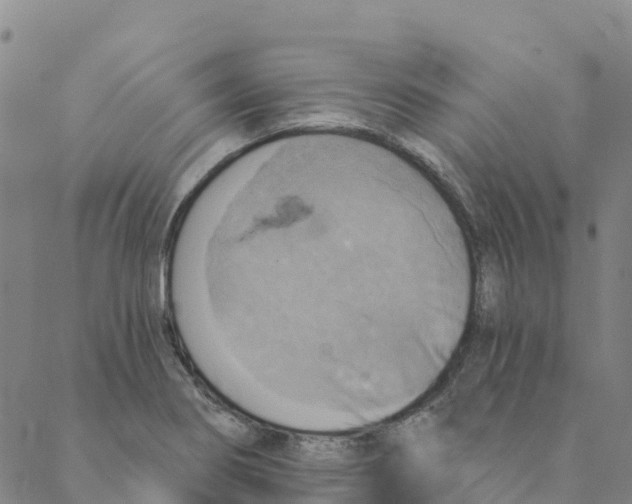 X0000088391274200706121201