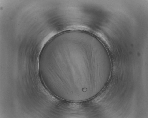 X0000088391275200706121201