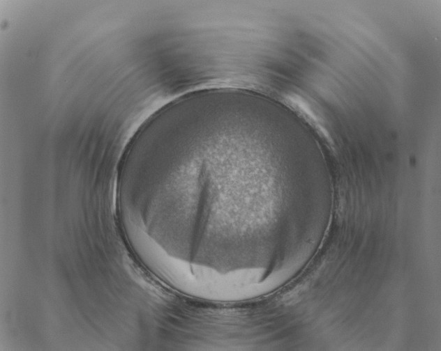 X0000088391276200706121201