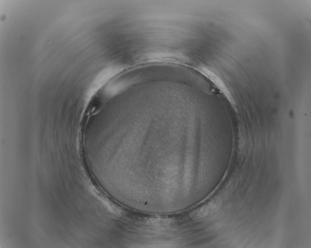 X0000088391277200706121201