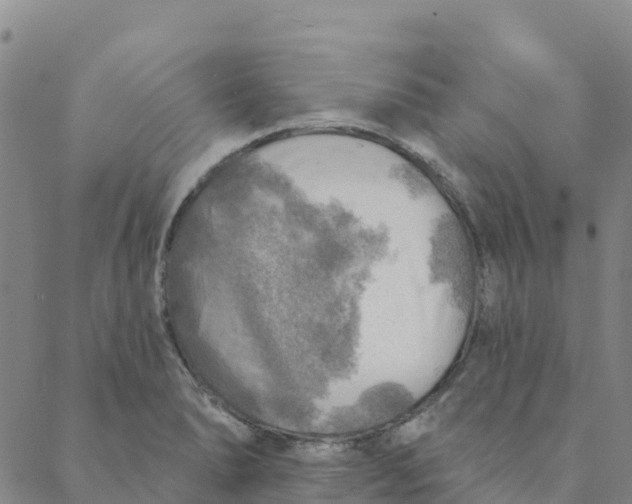 X0000088391278200706121201