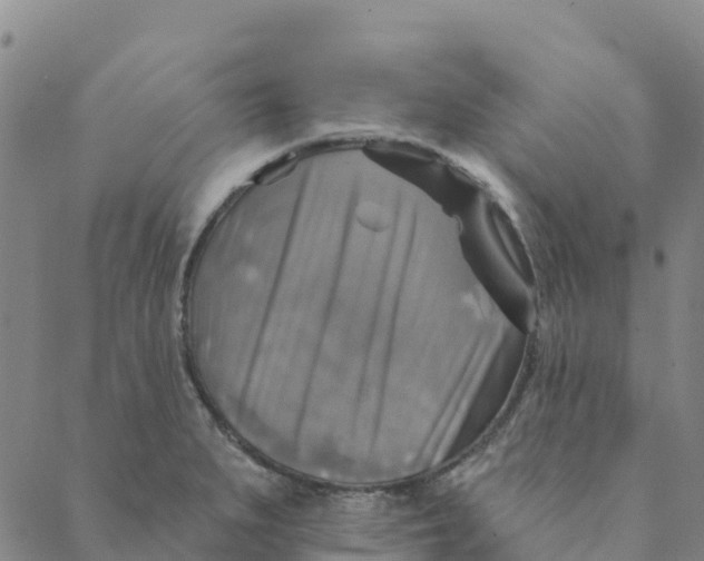 X0000088391279200706121201