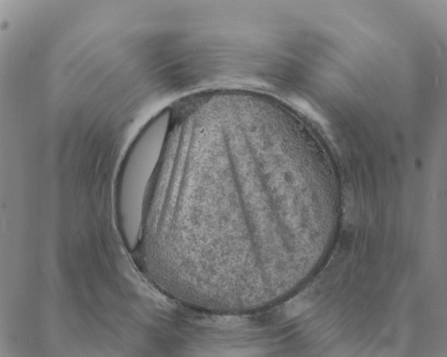 X0000088391280200706121201