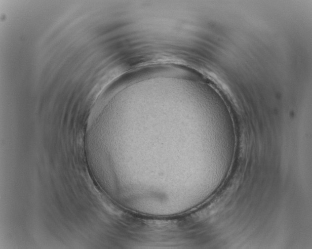 X0000088391281200706121201