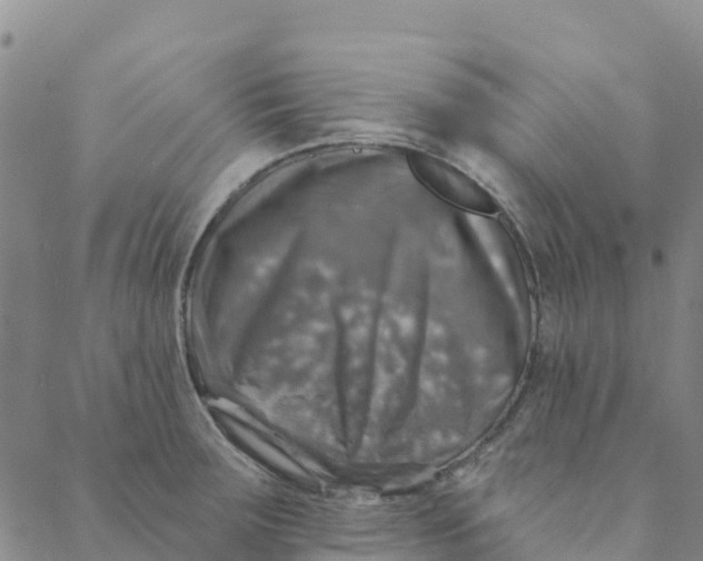 X0000088391283200706121201