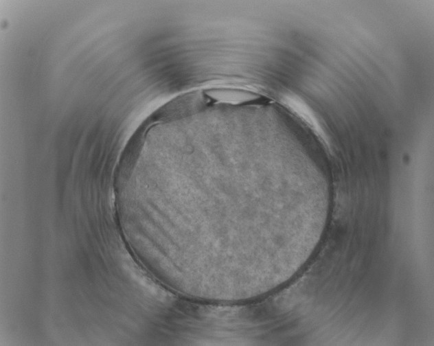 X0000088391284200706121201