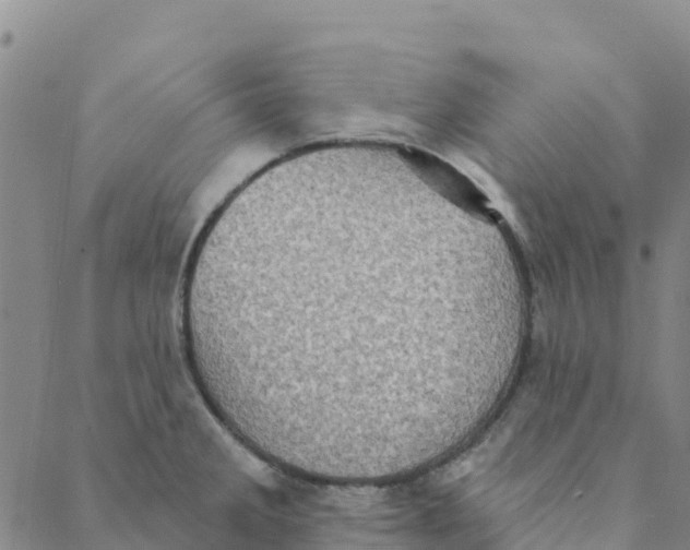 X0000088391285200706121201