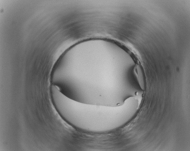 X0000088391287200706121201