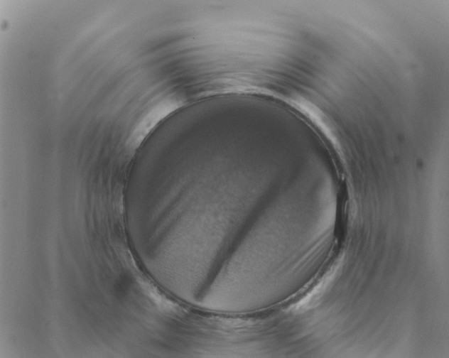 X0000088391289200706121201