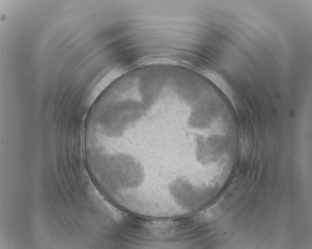 X0000088391290200706121201