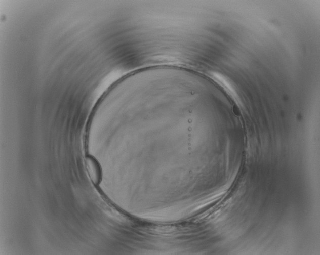 X0000088391291200706121200