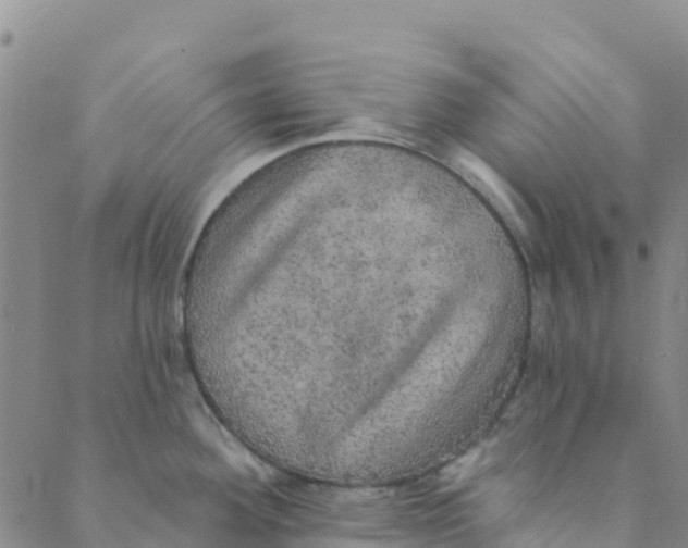 X0000088391292200706121200