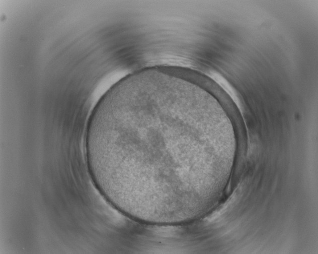 X0000088391293200706121200