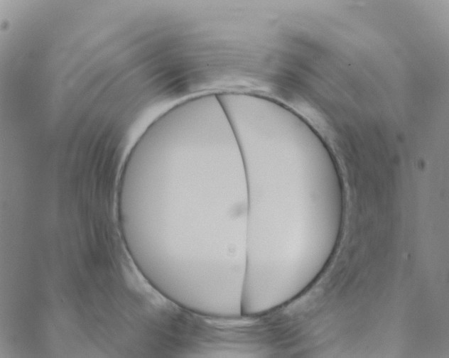 X0000088391296200706121200