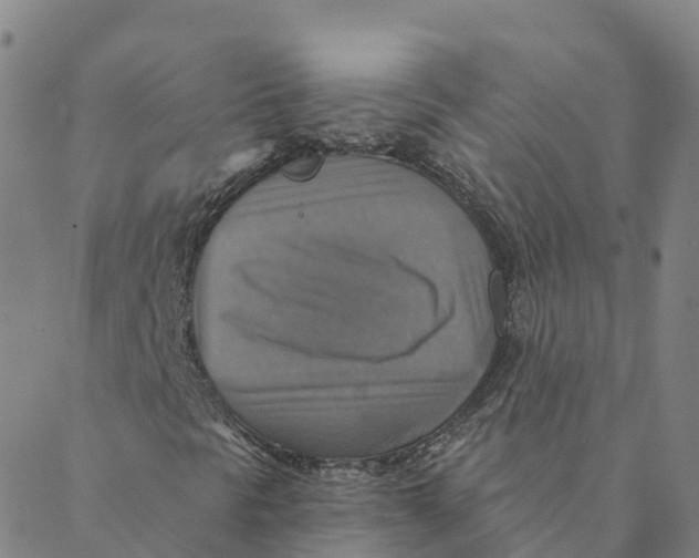 X0000088391297200706121200