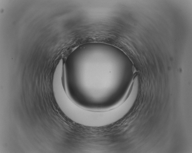 X0000088391298200706121200