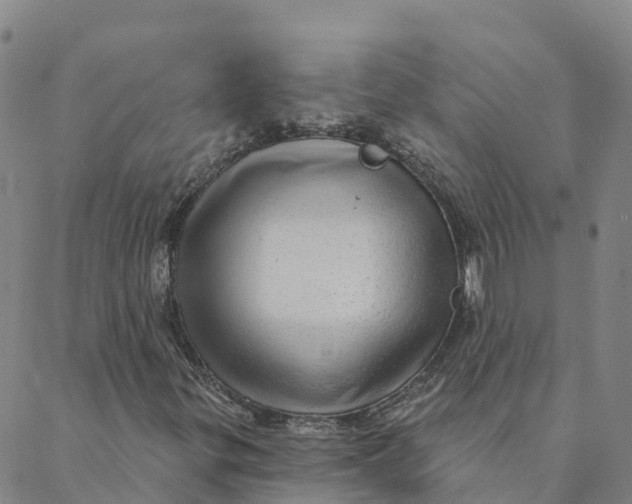 X0000088391299200706121200