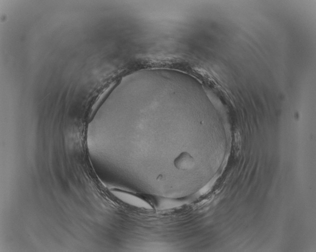 X0000088391300200706121200