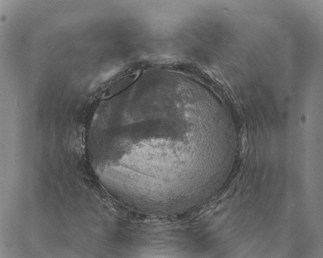 X0000088391301200706121200