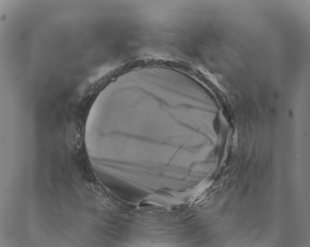 X0000088391303200706121200