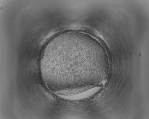 X0000088391304200706121200