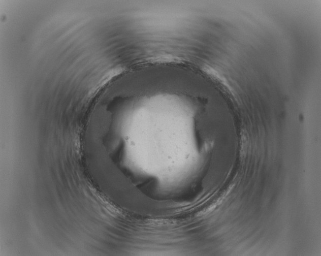 X0000088391305200706121200