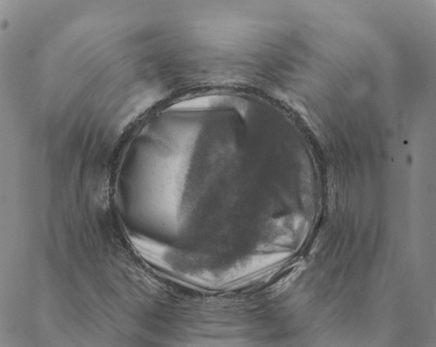 X0000088391306200706121200