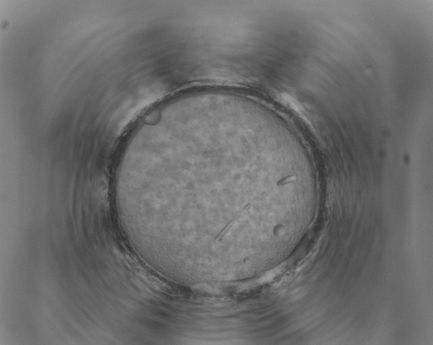 X0000088391307200706121200