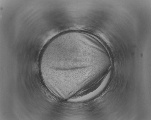 X0000088391308200706121200